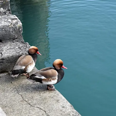 Prigioni House Bed & Breakfast