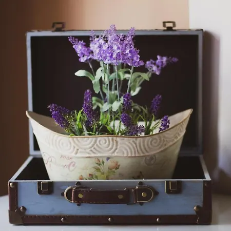 Bed & Breakfast Prigioni House *